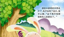 兔子的名片读后感