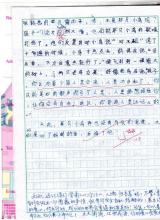 冰心精选作品
