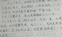 赞美老师的作文600字