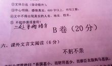 街头见闻作文800字