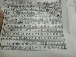 情感论文