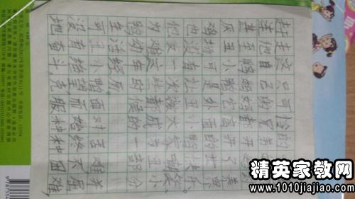 飞后的感受