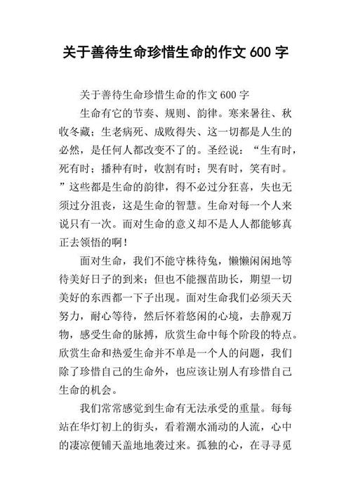 精彩人生800字