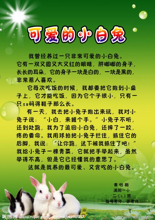 靠近你，温暖我作文800字