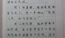 学打羽毛球作文