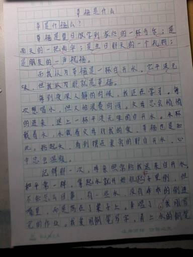 快乐作文600字