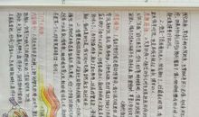 中华传统文化读后感