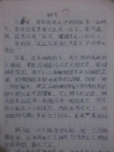 家乡水果组成