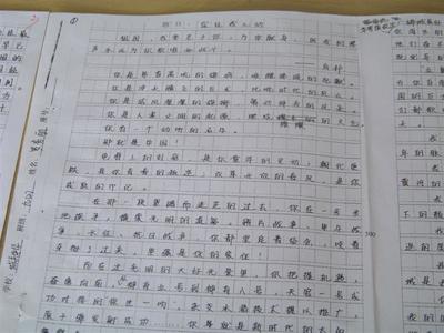 爱祖国作文400字