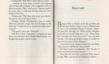 《印第安人的麂皮靴》读后感