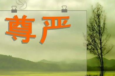 尊严组成300字