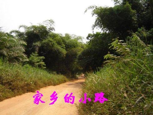 家乡路径组成