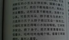 假如我是市长作文400字