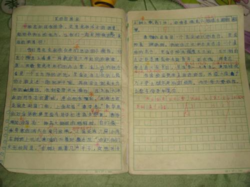 数学作文300字