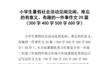 最难忘的一件事作文600字