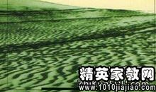 藏在这世界的优美读后感