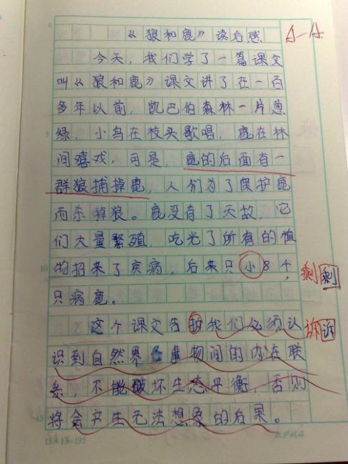 为外星人的孩子们阅读后300个单词