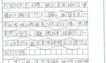 老鹰捉小鸡的作文