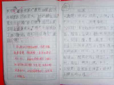 赞扬老师的作文