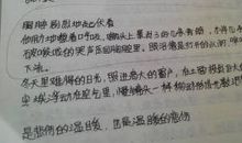 以感动为话题的作文