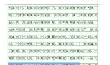 家乡的春节作文400字