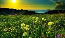 心语：陪你不是一阵子，而是一辈子