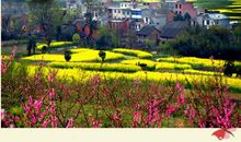 田园风光作文结尾