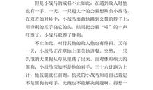 战马读后感400字