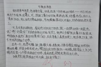欢乐日作文200字