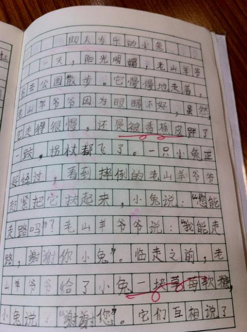 快乐的一天200字