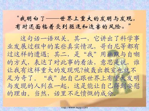 童年发现组成