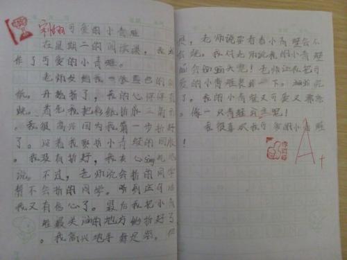 与小草聊天