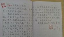 和小草聊聊天作文