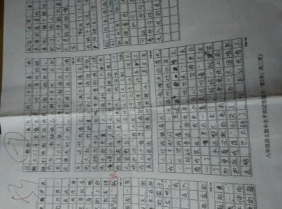 成功撰写800字