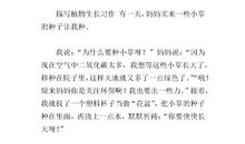 和小草聊聊天作文600字