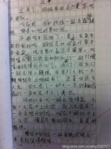 新年趣味作文