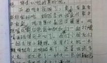 过年的趣事作文