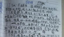 我的朋友作文400字