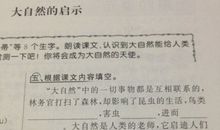 写大自然启示的作文