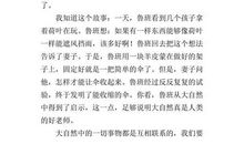 大自然的启示400字作文