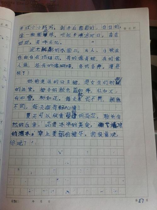夏天在这里200字