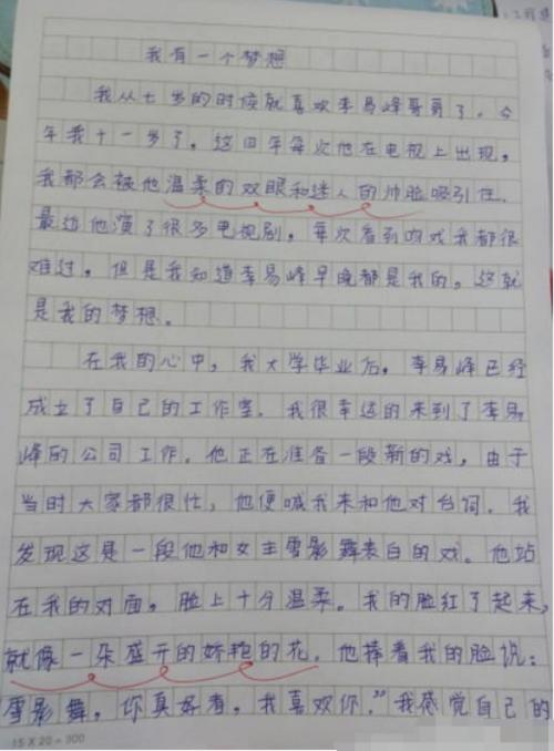 理想作文400字