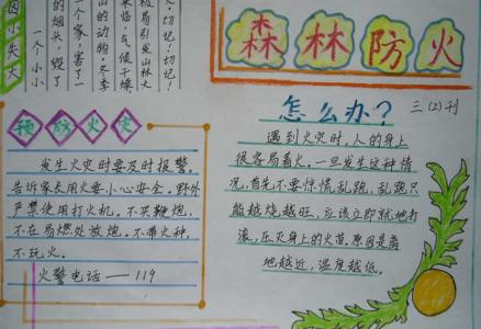 森林火灾成分