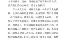 大自然的启示800字