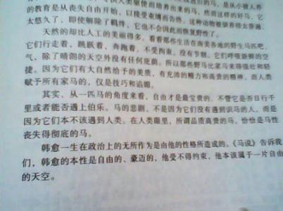 七年级阅读