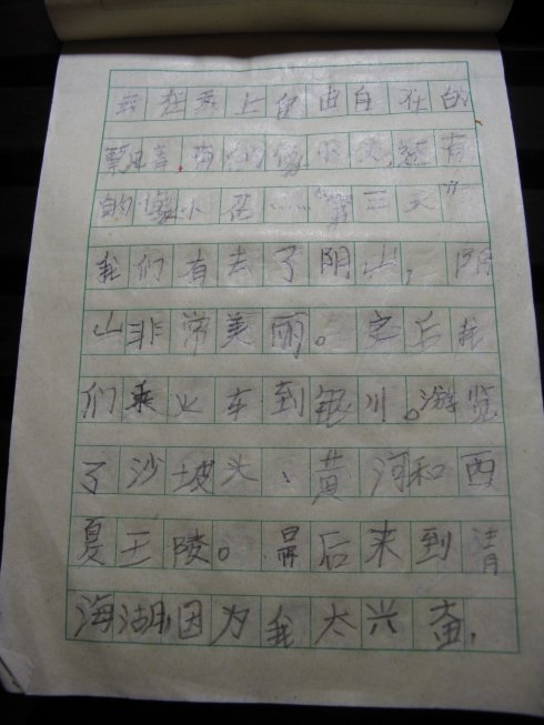 暑假的组成