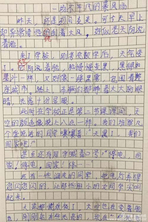 面对风暴的组成