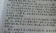 我的初二生活作文