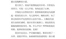 音乐让我陶醉作文600字