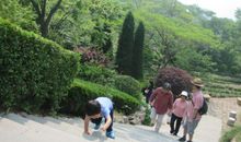 第一次爬山作文